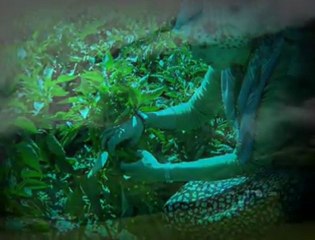 ASİYE & KAZIM KOYUNCU