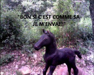 le ranch en danger schleich chavaux