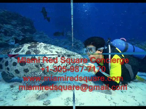 ПОДВОДНОЕ ПЛАВАНИЕ И ДРУГИЕ ВИДЫ СПОРТА В МАЙАМИ.