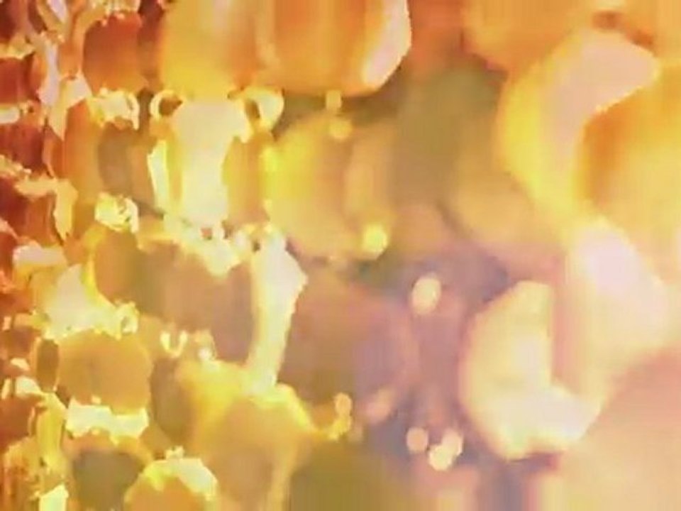 LA PLANQUE - HIDEOUT (clip)