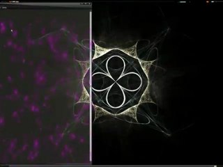 The Power of the Linux Find Command