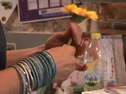 Chemins de la réussite : Mobil Home