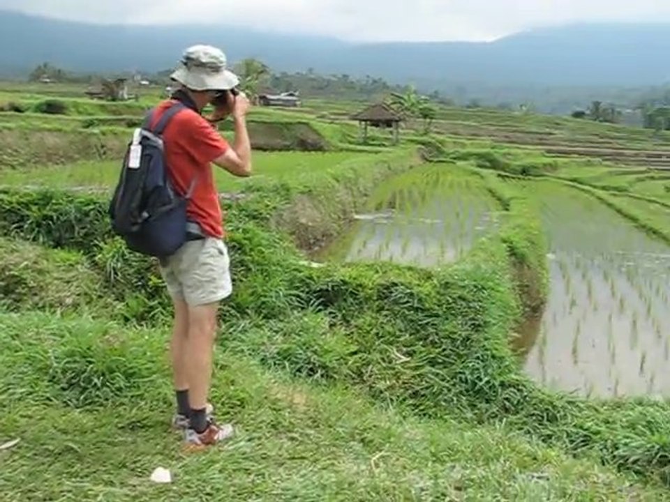 Rizières de Jatih Luhi à Bali