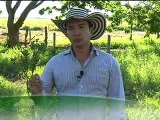 3_Martes 9 AGOSTO 2011 ganaderia boga con comerciales_chunk_1