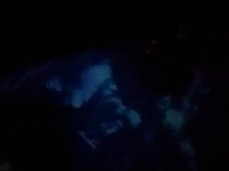 watch Warning 2011DVD RIP -Desicorner.net-6