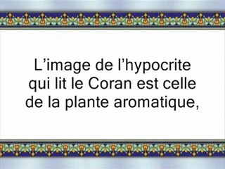 les bienfaits de la lecture du Coran