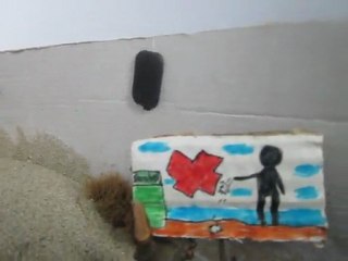 Maquette du littoral Jardin du lido