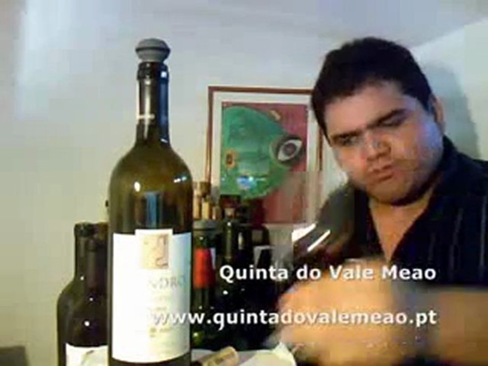 Quinta do Vale Meao Meandro 2007