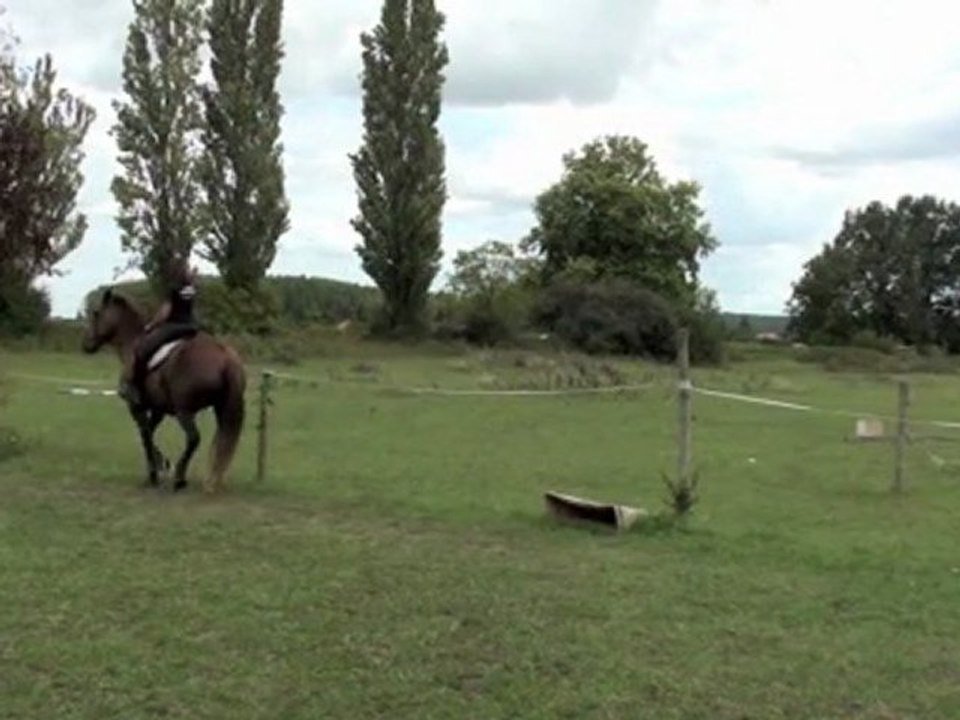 Lazz, piaffé