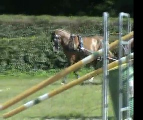 Volga franche montagne