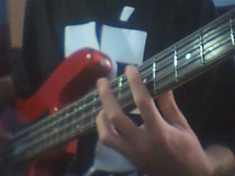 Can't Stop - Red Hot Chili Peppers (basscover)