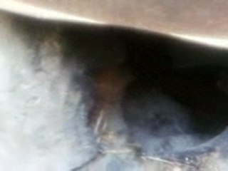 four traditionelle (tabouna) moknin monastir tunisie