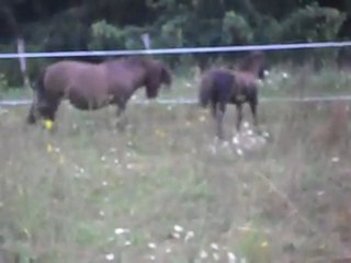 BLUE NIGHT 2 mois 04/08/2011. SDC11356