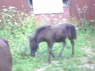 BLUE NIGHT 2 mois 04/08/2011. 2) SDC11280