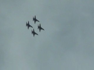 2011 Thunder Over Michigan: USN Blue Angels #5