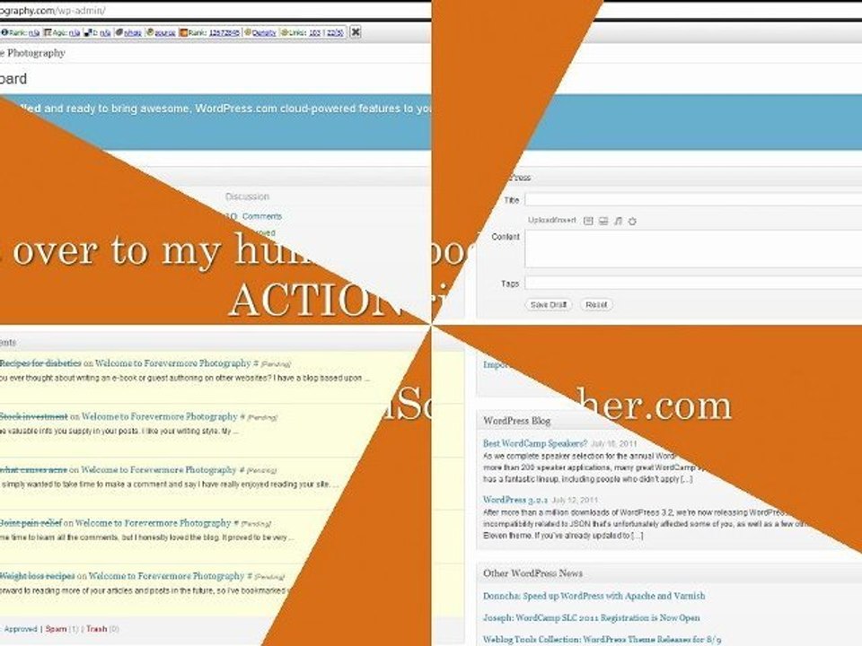 How to Log into Wordpress Admin - Marketing for Dummies