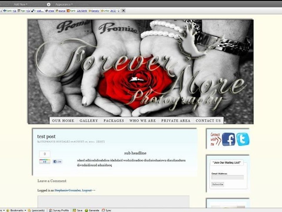 How to Make a Wordpress Post - Updated!
