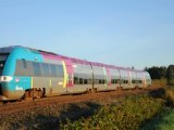 LUCON NANTES - UN TER SNCF DANS LA CAMPAGNE DU SUD VENDEE - AOUT 2011