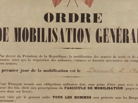 1914 - Une tragédie européenne, par Yves-Marie Adeline (première partie)