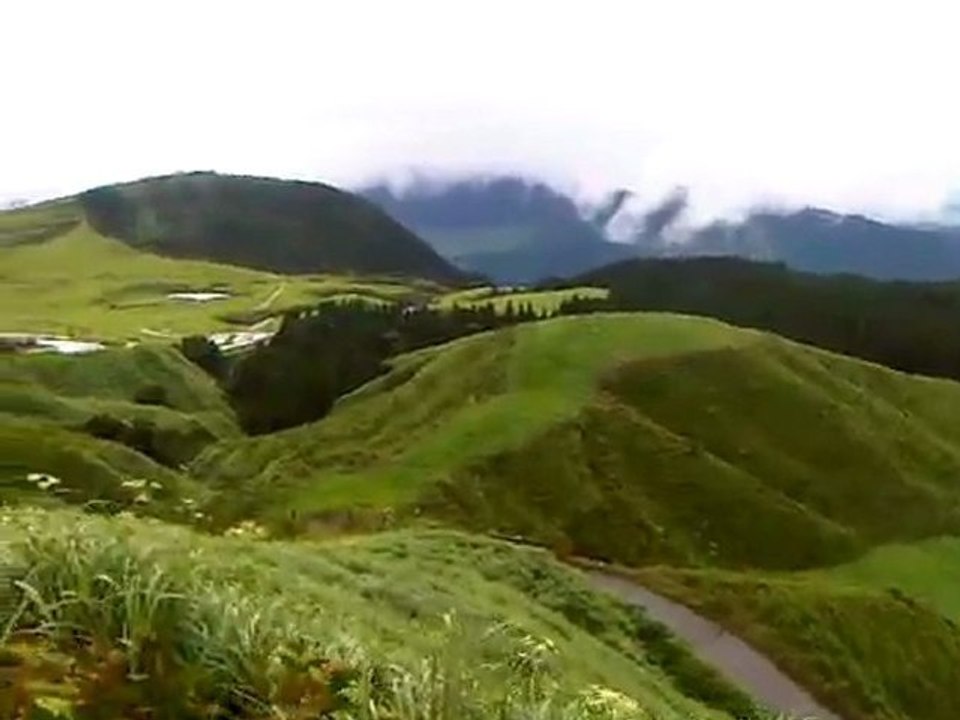 incroyablement vert, cet endroit !