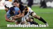 watch ITM Cup Rugby Wellington vs Northland rugby 10th August ITM Cup Rugby live streaming
