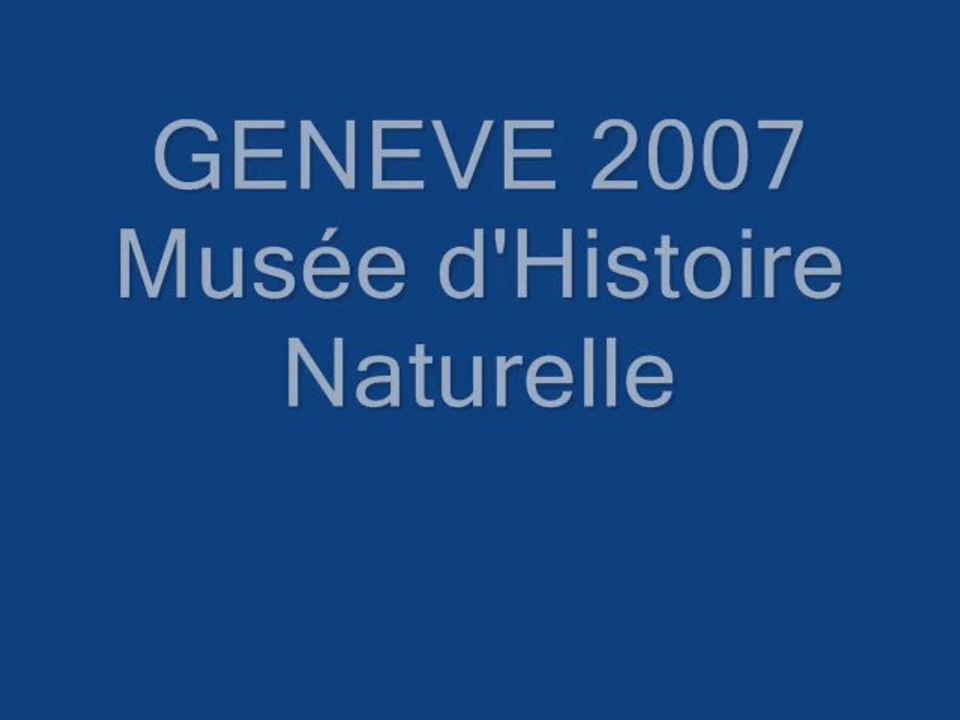Musée d'histoire naturelle de Genève vacances 2007