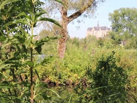 Le Marais d'Isle : réserve naturelle et lieu de détente au coeur de la ville