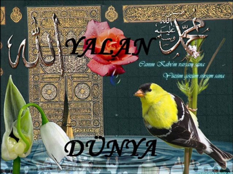 Yalan Dunya