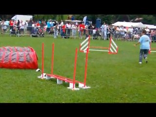 20110807 miramas finale trophee par equipes les acrocs