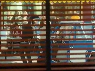 Spread - 03 - Watch32.Com