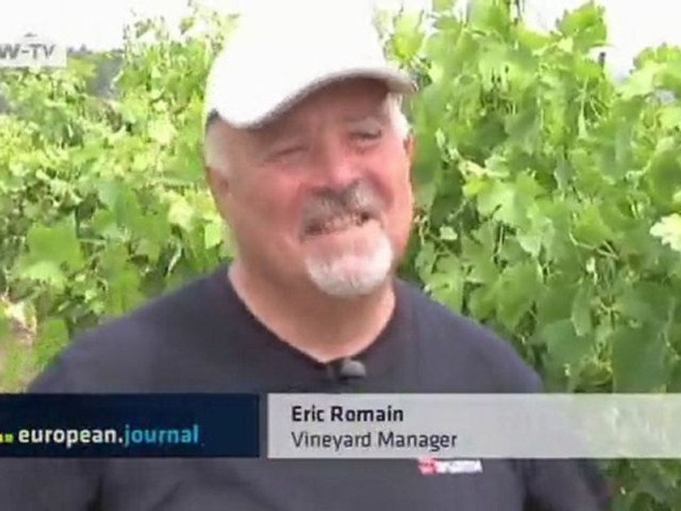 France: Celebrity Vineyards | European Journal