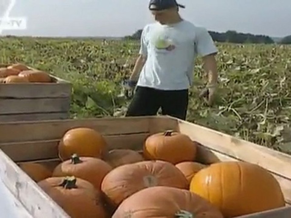 Our viewer's question | Tomorrow Today