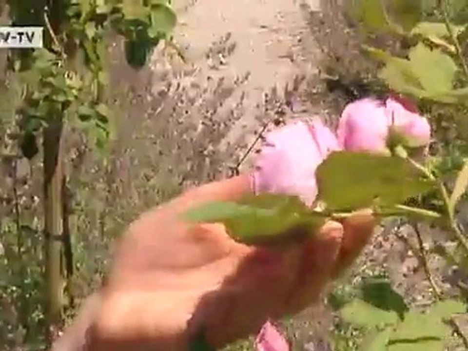 Lake Starnberg – Three Travel Tips | Discover Germany