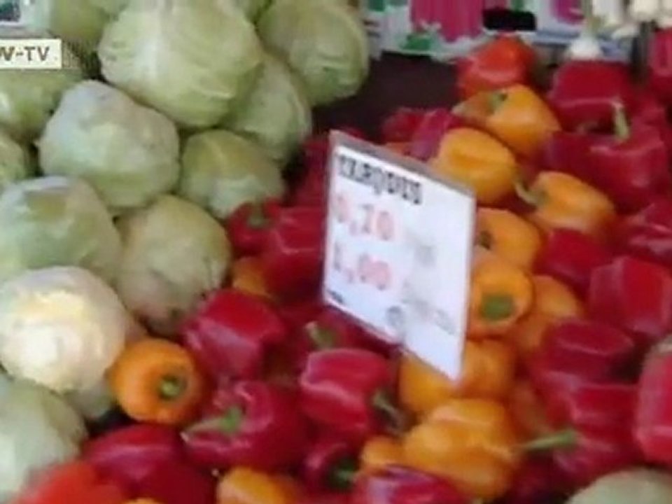 Sautéed Zander with Summer Vegetables and Chive-Creme Fraiche Sauce | euromaxx