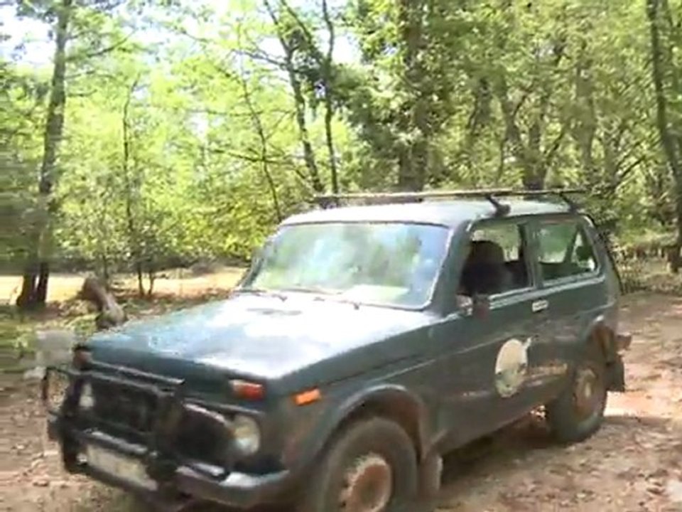 Croatie: au secours des vautours fauves de l'île de Cres