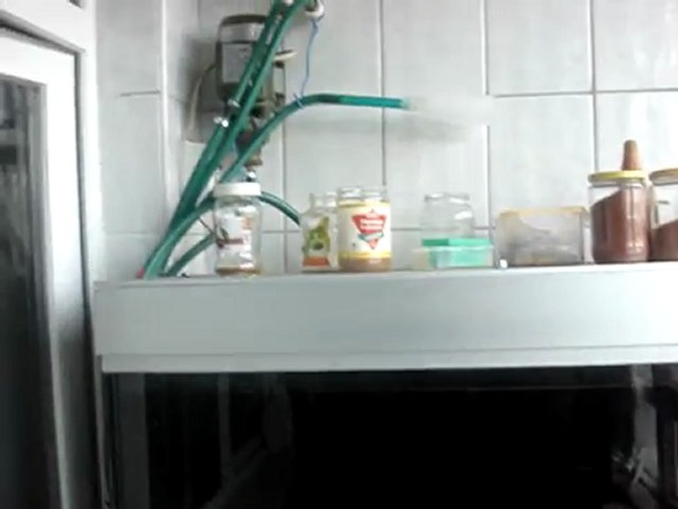 ( Discus is produced everywhere ..? )  Discus her yerde üretilir..?