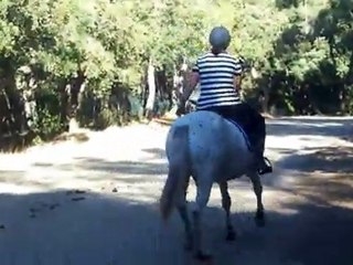 10 août 2011 [balade]