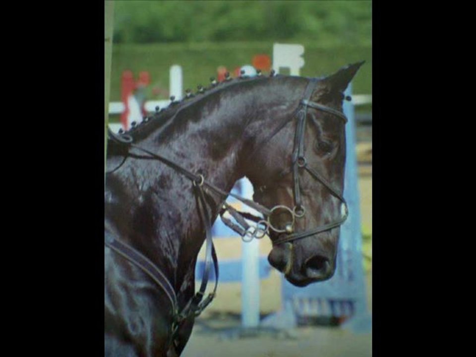 milou de rochefort tf