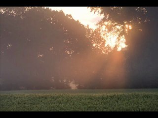 Dawning-Johnny Hamp's Kentucky Serenaders