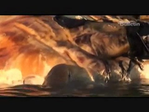 Tiger sharks attack whale carcass