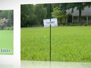 Fertilization Marietta GA