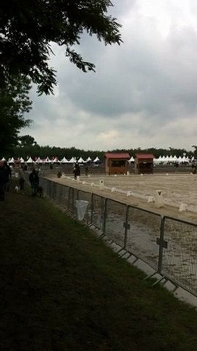 Imposée Cl.1GP Lamotte Beuvron 2011. 1e place avec 68.33%