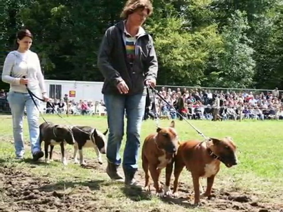 Carrouges 2011