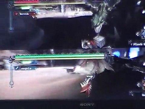 couple de wyvern aérien en mode arène sur monster hunter 3