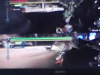 couple de wyvern aérien en mode arène sur monster hunter 3