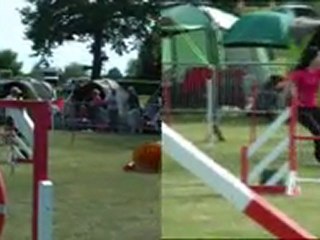 Romo synchro Véo et Doubaï