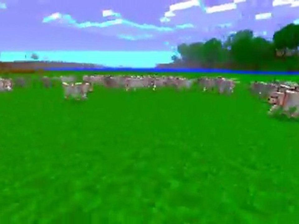 Minecraft | Catch the bone