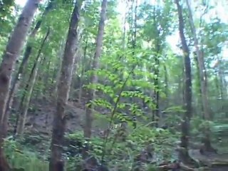 DISCOVER PARADISE, BOHOL ISLAND. PHILIPPINES