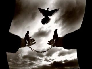 Grup Munzur-Seni Seviyorum