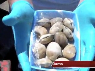 Fish Grinding Demo -JWC Environmental